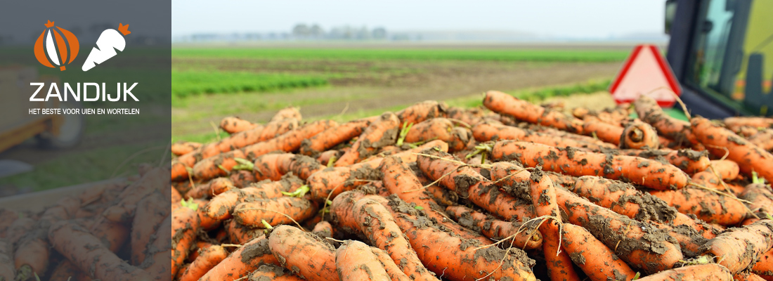 Zandijk uien en wortelen